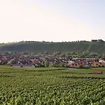 Hotel Romantik Zur Schwane